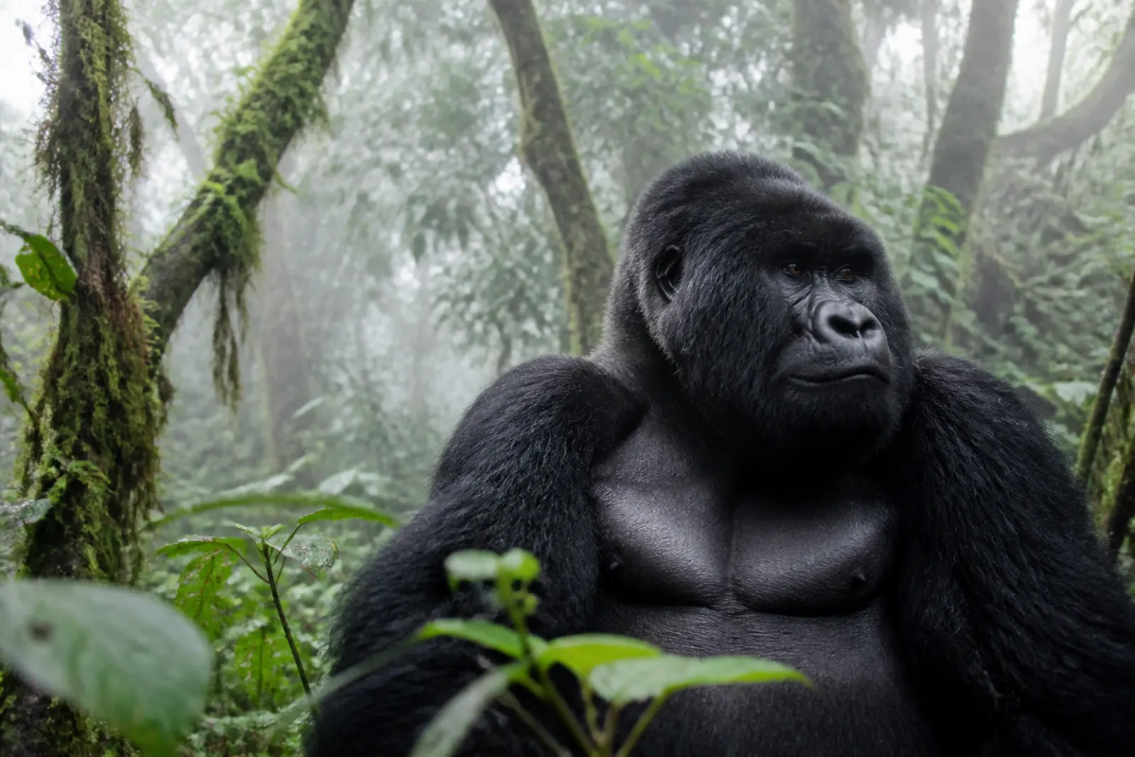 Uganda