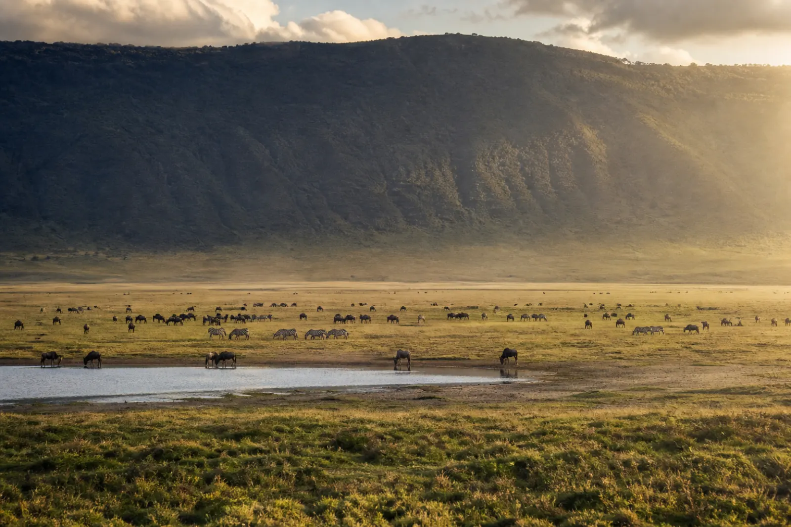 3 Day Tanzania safari